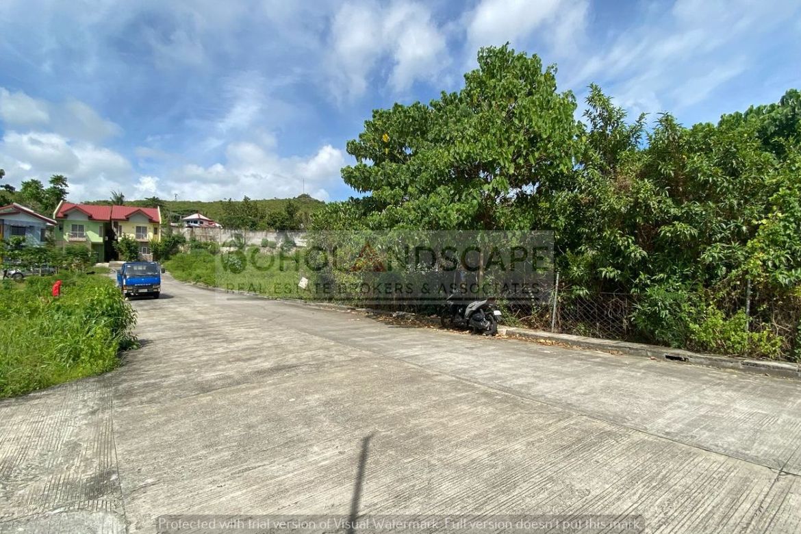 Land for Sale in Bool, Tagbilaran, Bohol – photo 5