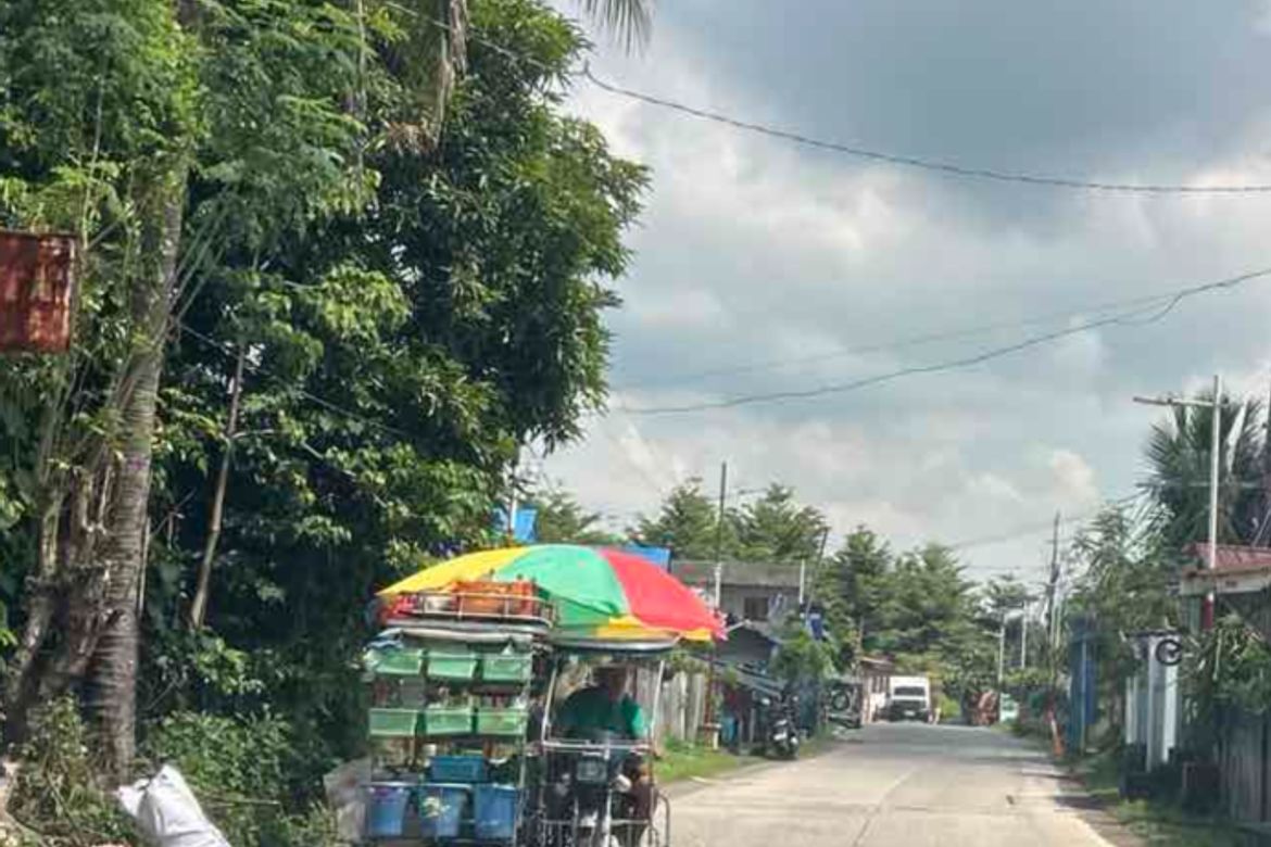Land for Sale in Boot, Tanauan, Batangas – photo 3