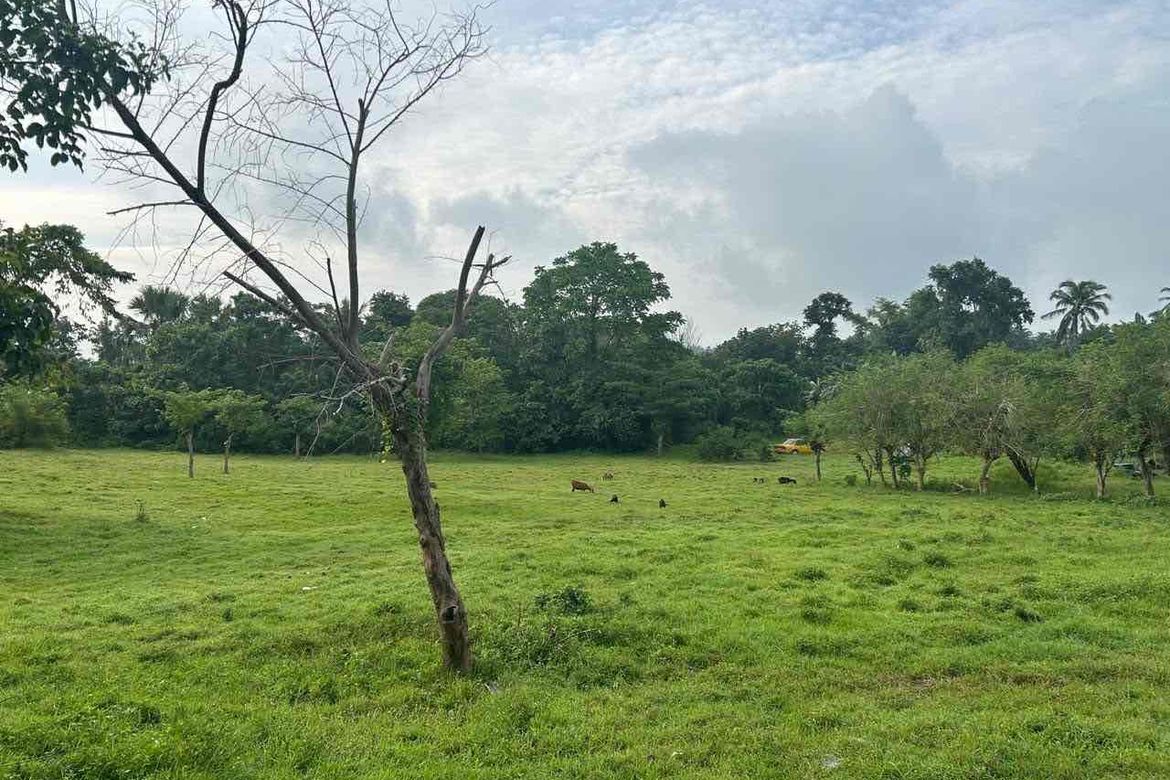 Land for Sale in Boot, Tanauan, Batangas – photo 5