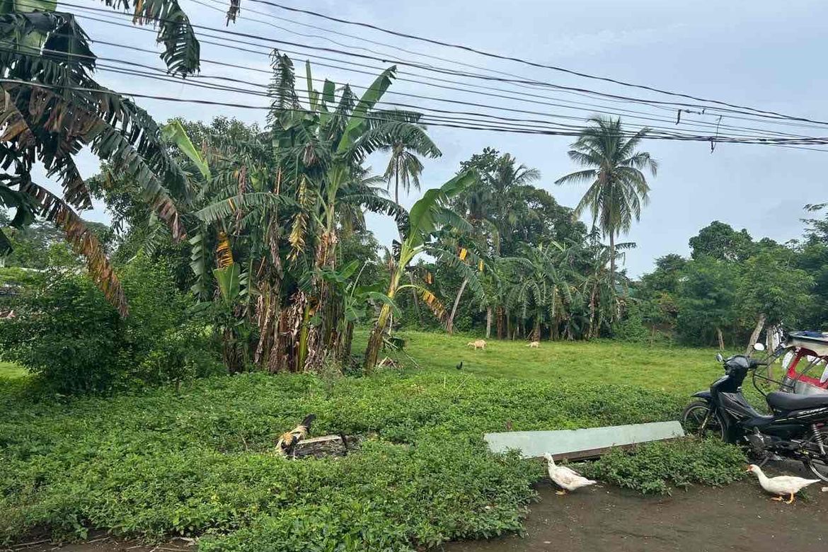 Land for Sale in Boot, Tanauan, Batangas – photo 6
