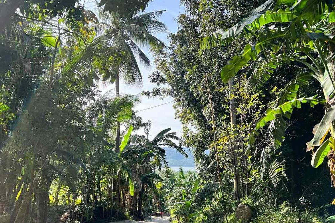 Land for Sale in Boot, Tanauan, Batangas – photo 4