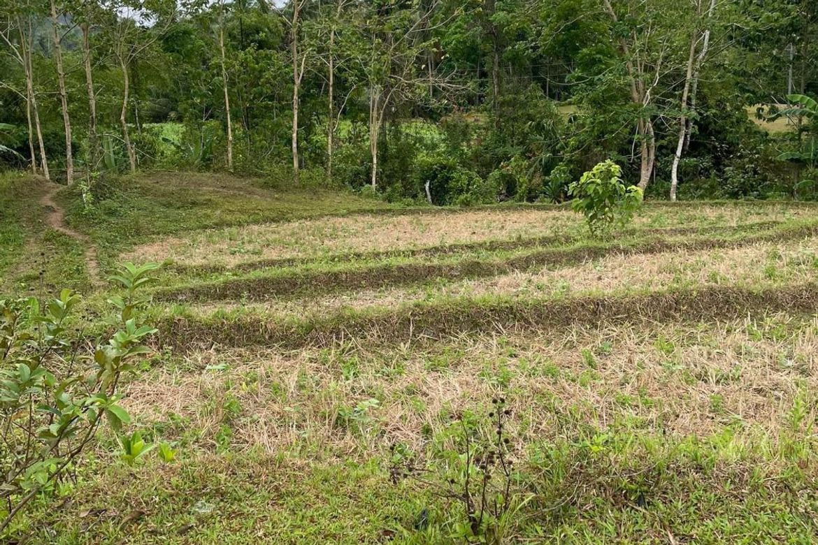 Land for Sale in Botbot, Hamtic, Antique – photo 2