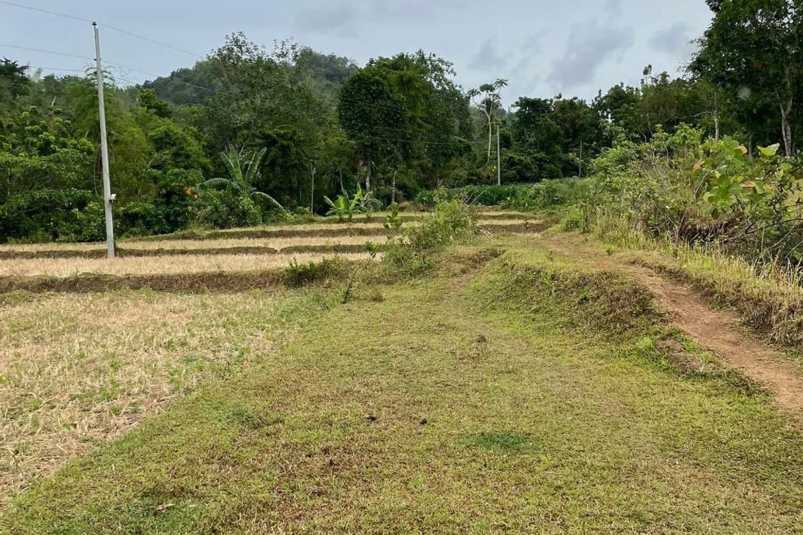 Land for Sale in Botbot, Hamtic, Antique – photo 5