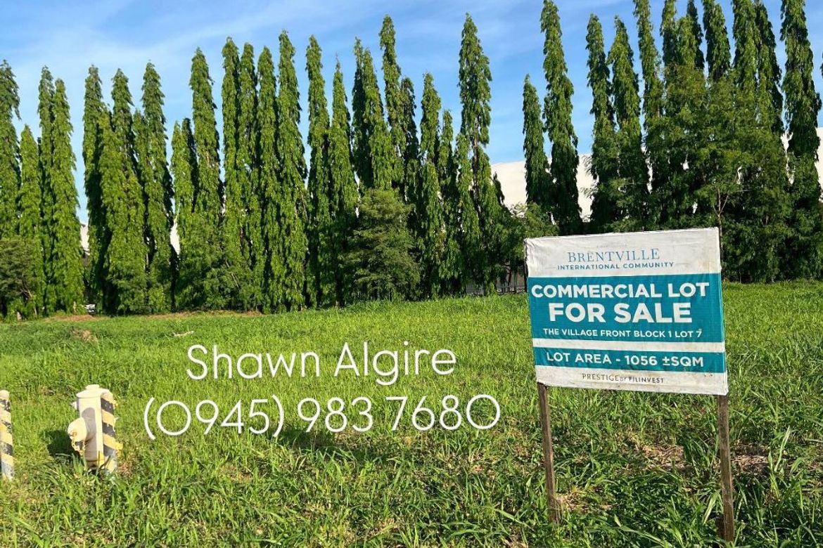 Land for Sale in Brentville International Community, Mampalasan, Biñan, Laguna – photo 5