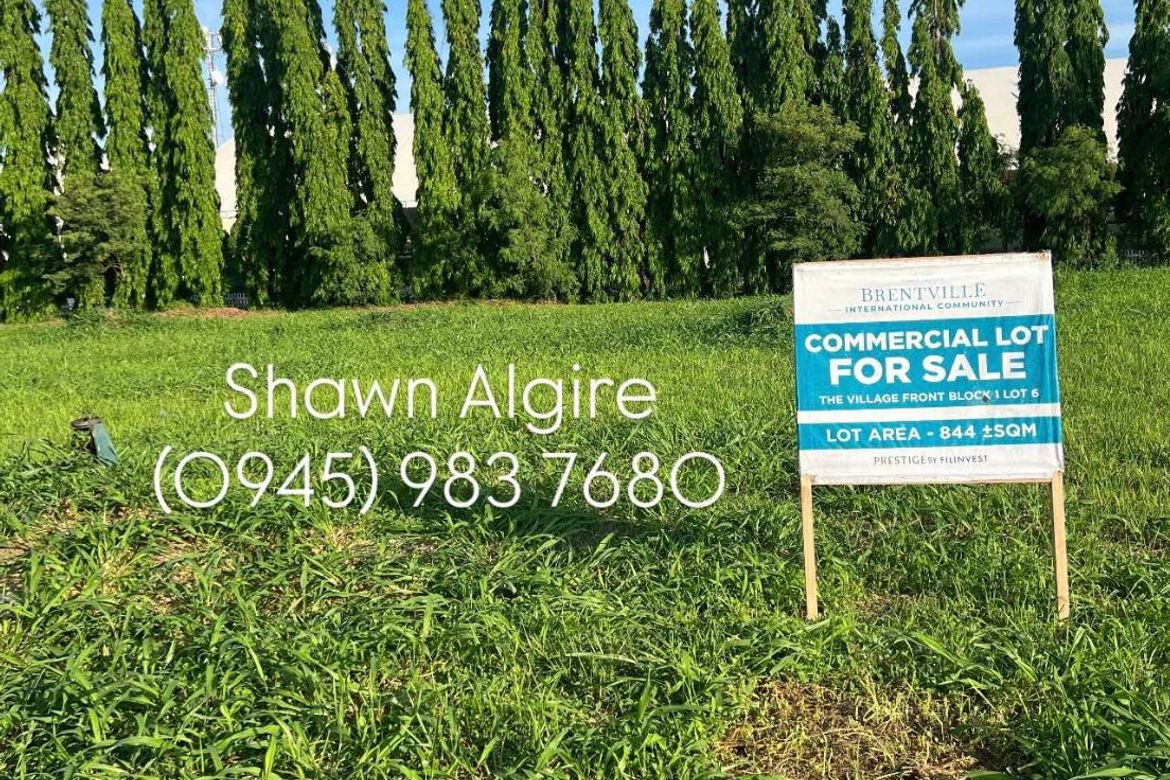 Land for Sale in Brentville International Community, Mampalasan, Biñan, Laguna – photo 7