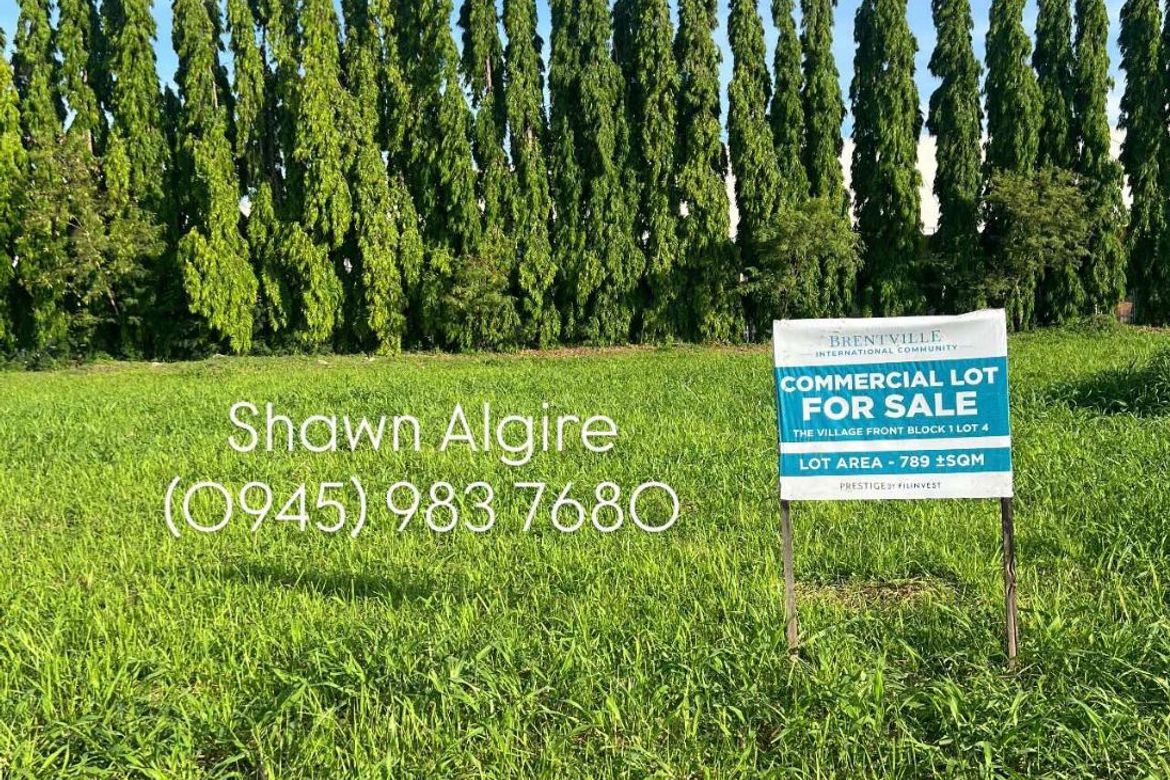 Land for Sale in Brentville International Community, Mampalasan, Biñan, Laguna – photo 8