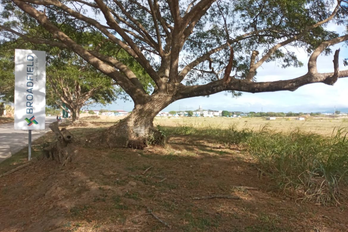 Land for Sale in Broadfield, Biñan, Laguna – photo 3