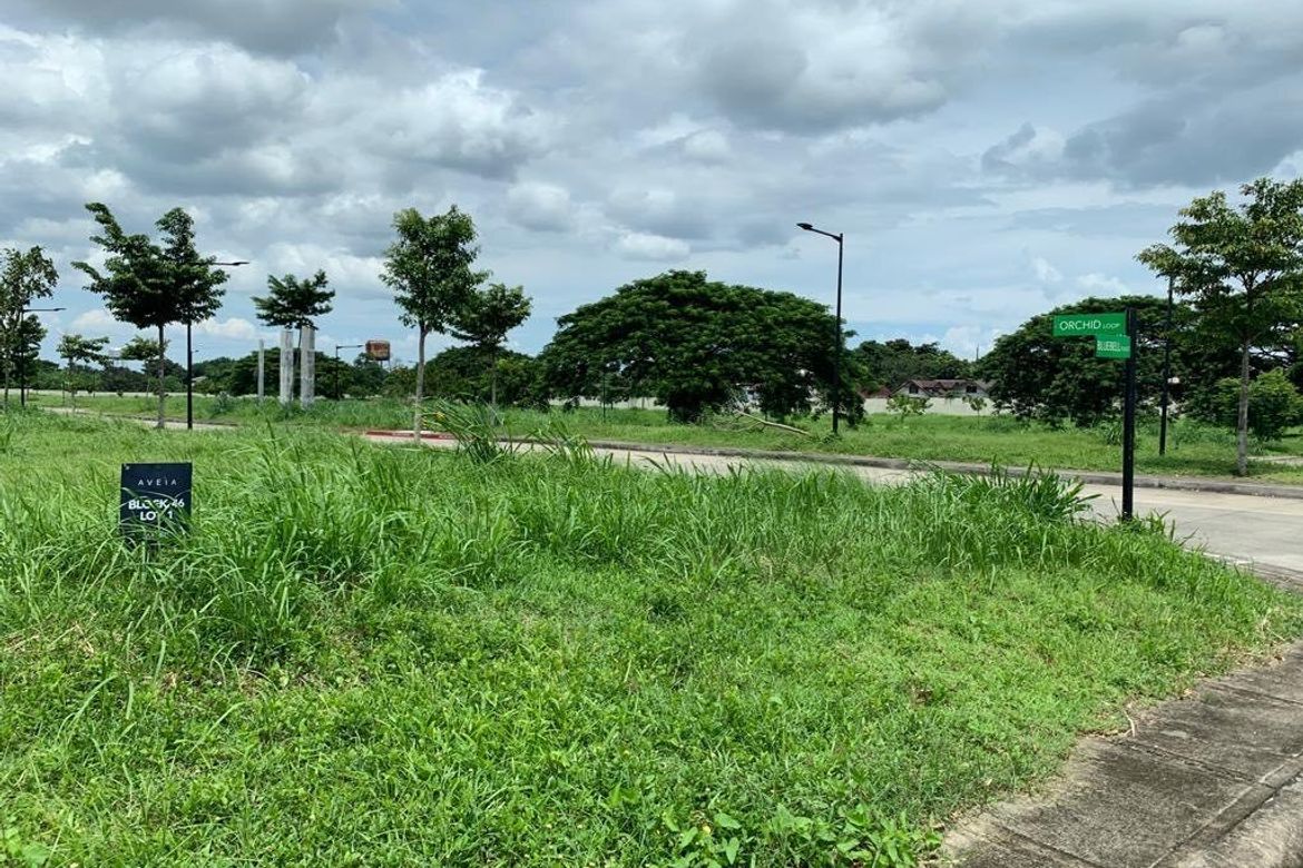 Land for Sale in Broadfield, Bungahan, Biñan, Laguna – photo 3