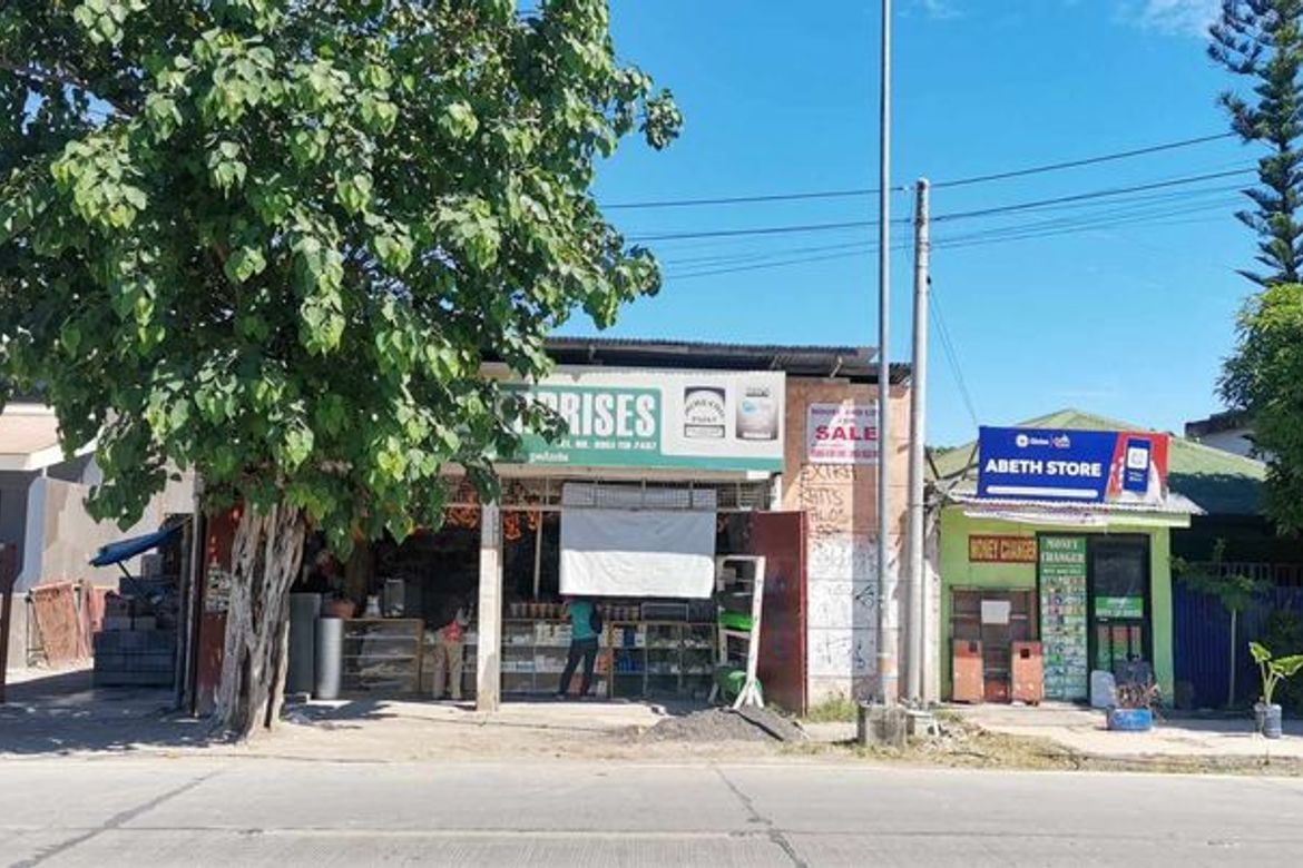 Land for Sale in Buaya, Lapu-Lapu, Cebu – photo 2