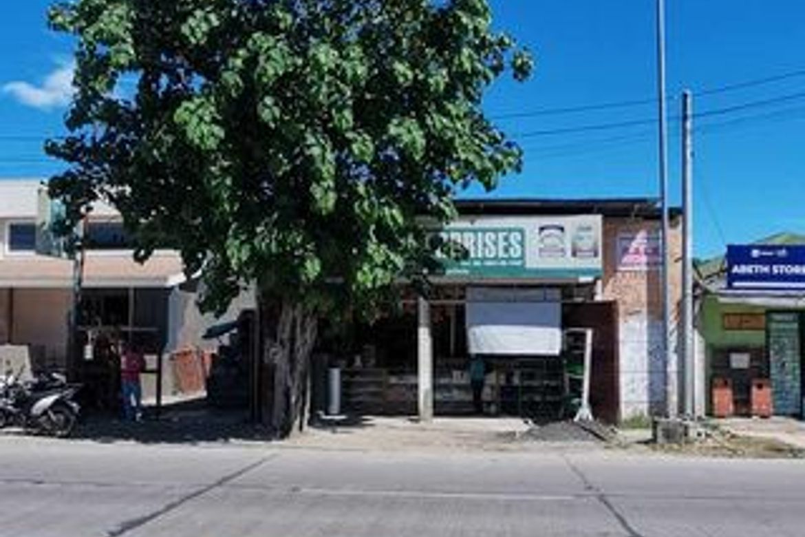 Land for Sale in Buaya, Lapu-Lapu, Cebu – photo 3