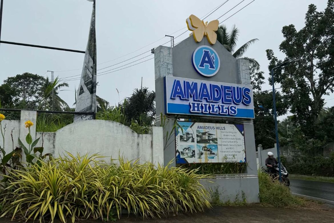 Land for Sale in Bucal, Amadeo, Cavite – photo 2