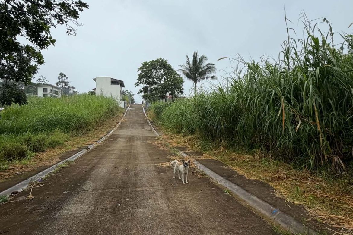 Land for Sale in Bucal, Amadeo, Cavite – photo 4