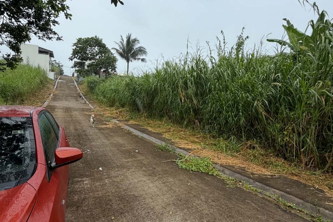 Land for Sale in Bucal, Amadeo, Cavite – photo 5