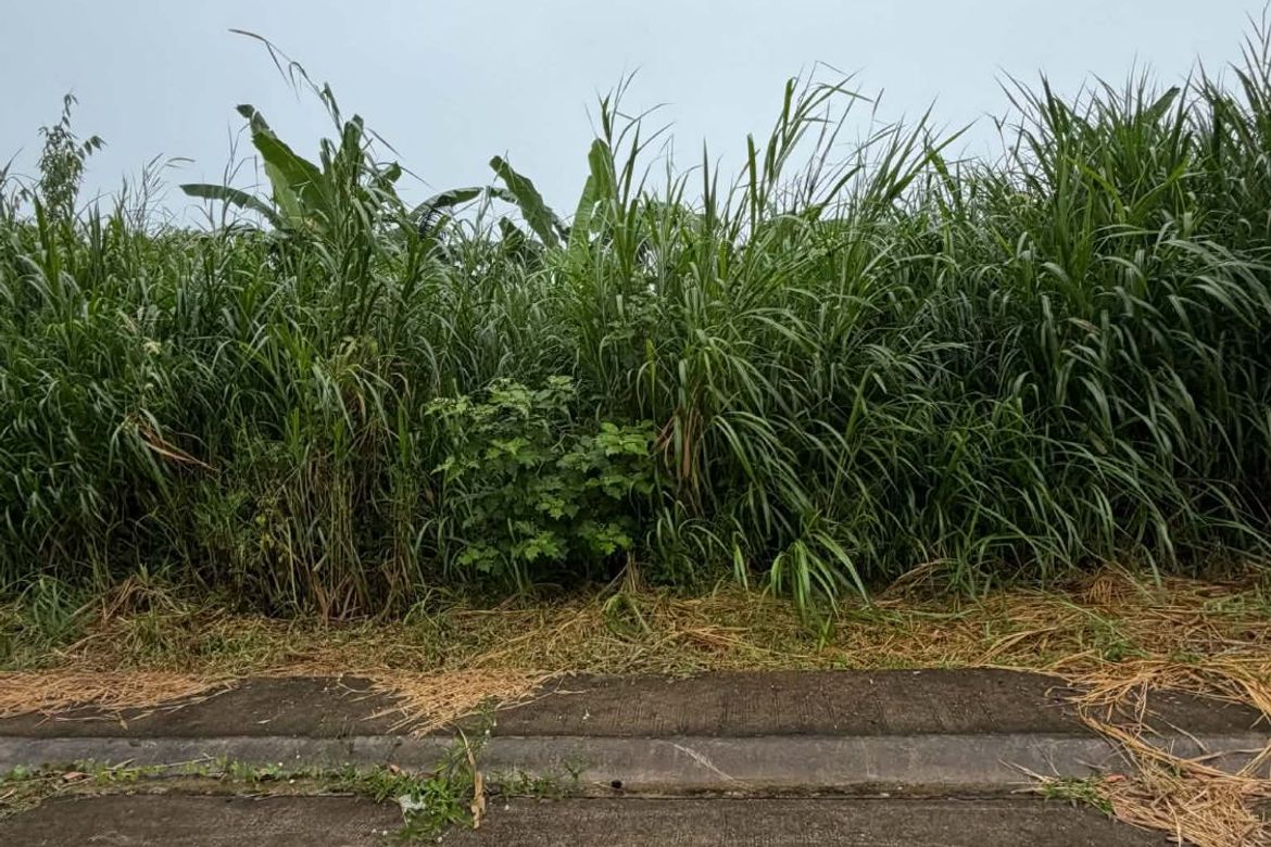 Land for Sale in Bucal, Amadeo, Cavite – photo 6