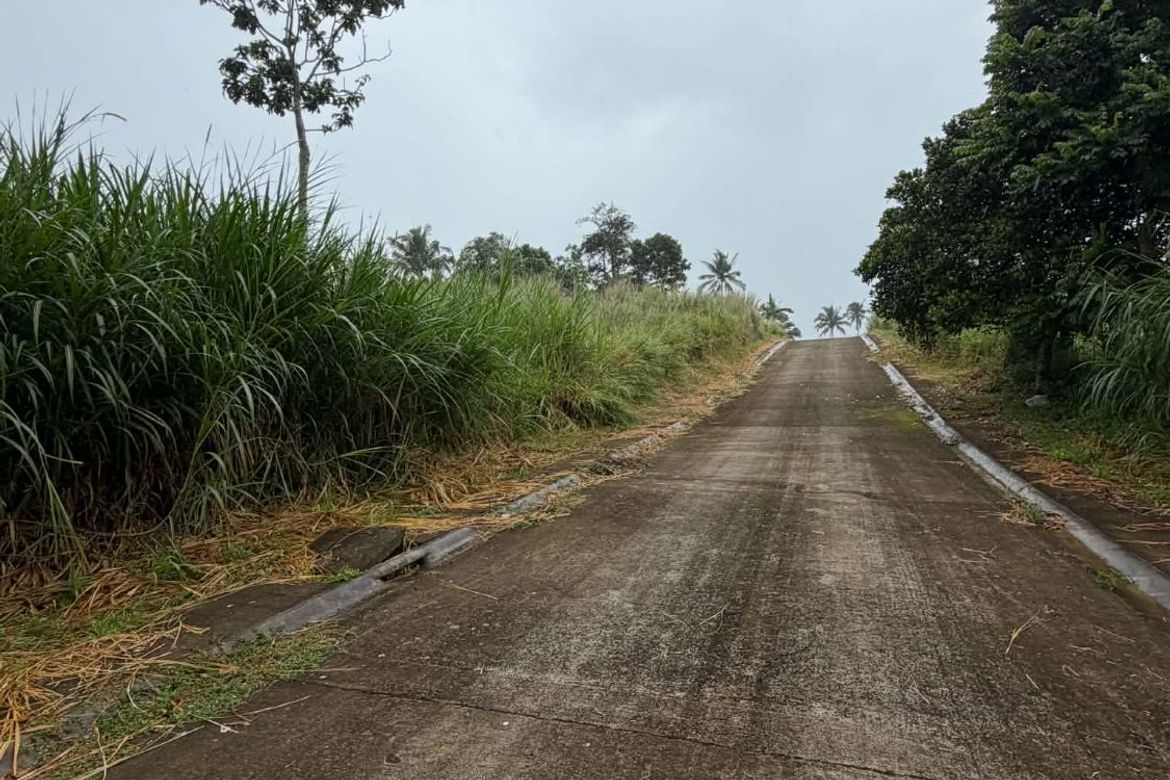 Land for Sale in Bucal, Amadeo, Cavite – photo 7