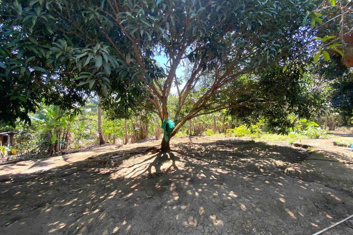Land for Sale in Bucal, Amadeo, Cavite – photo 2