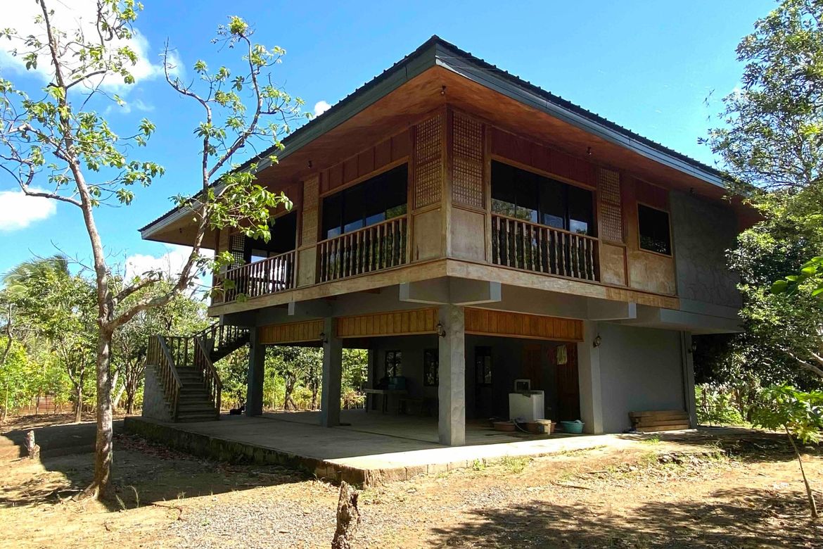 Land for Sale in Bucal, Amadeo, Cavite – photo 4