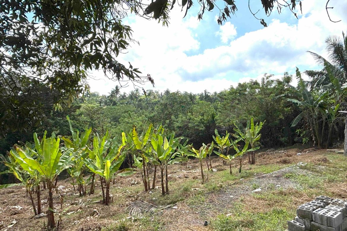 Land for Sale in Bucal, Amadeo, Cavite – photo 2