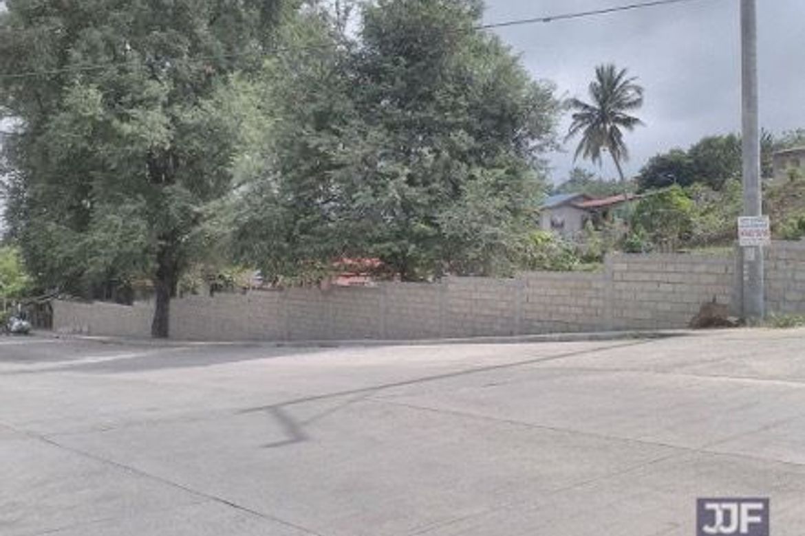 Land for Sale in Bucal, Calamba, Laguna – photo 3