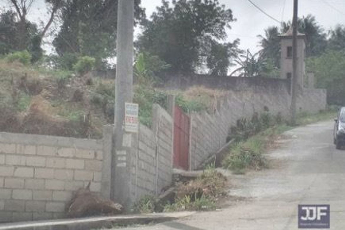 Land for Sale in Bucal, Calamba, Laguna – photo 5