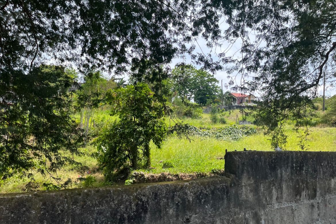 Land for Sale in Bucal, Calamba, Laguna