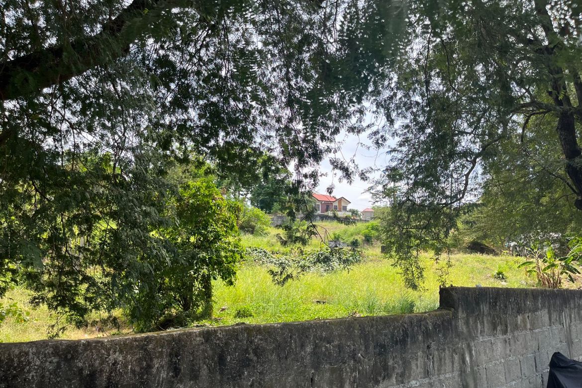 Land for Sale in Bucal, Calamba, Laguna – photo 6