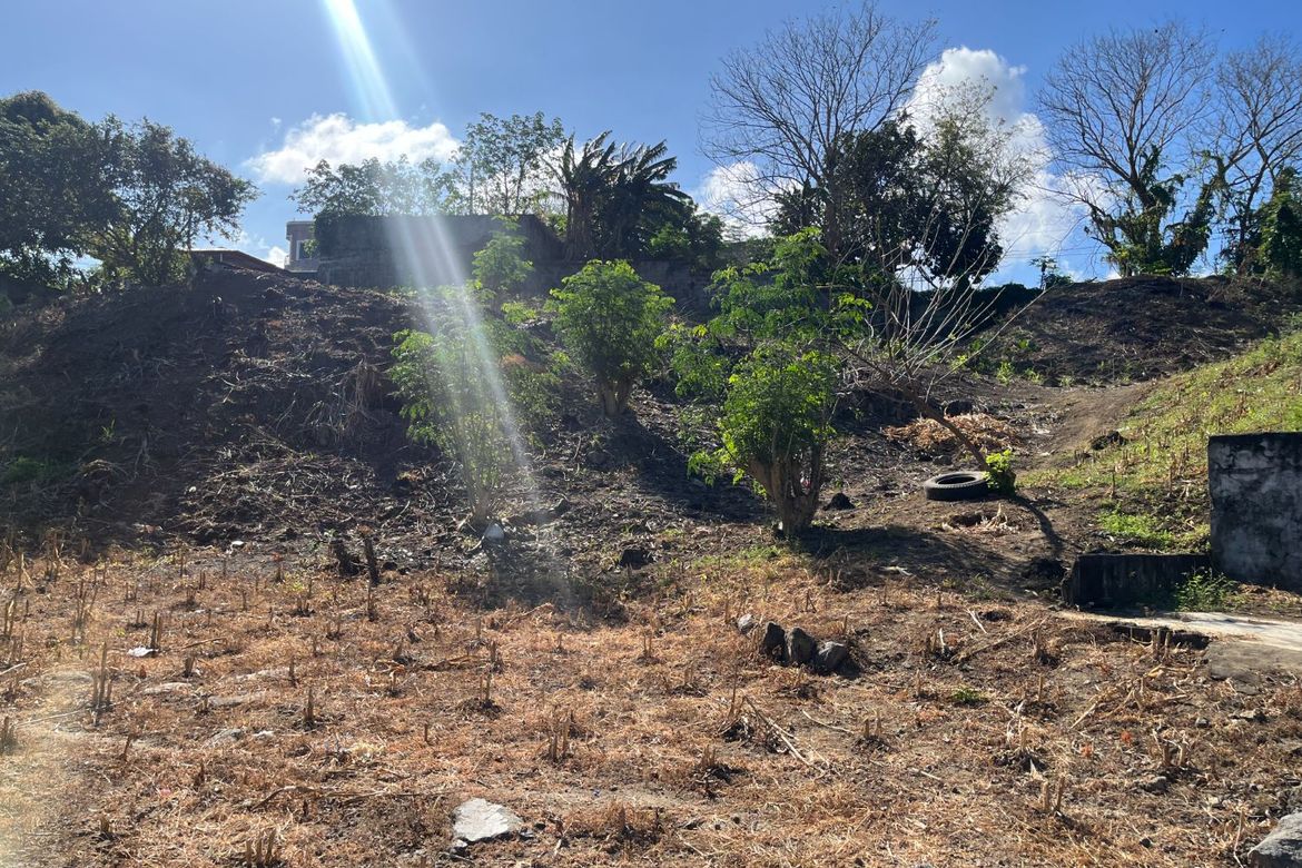 Land for Sale in Bucal, Calamba, Laguna – photo 8