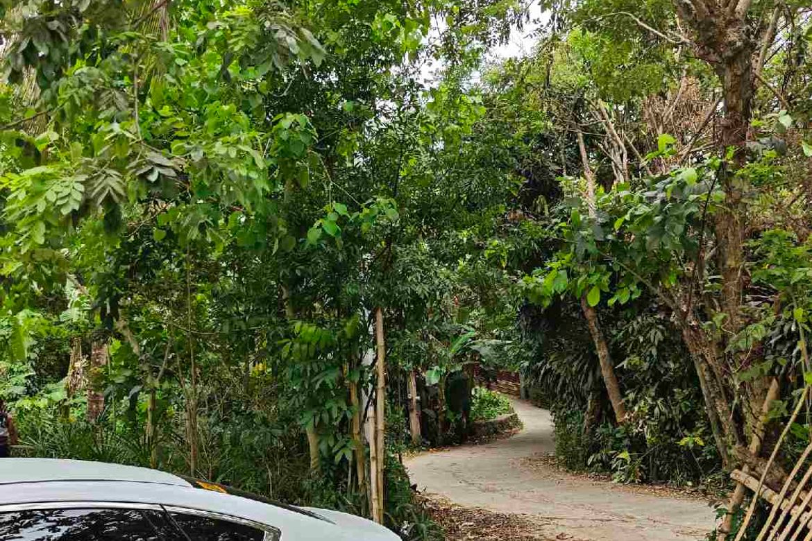 Land for Sale in Bucal, Sariaya, Quezon