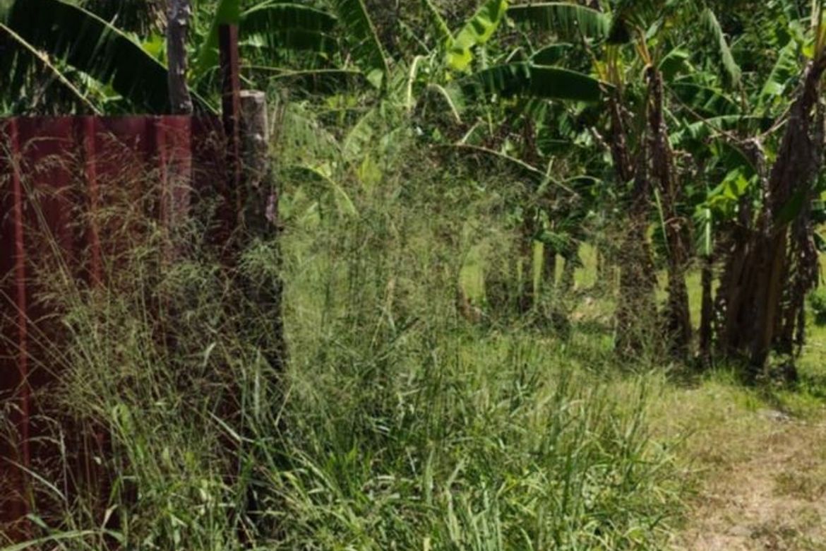 Land for Sale in Bucal, Silang, Cavite – photo 2