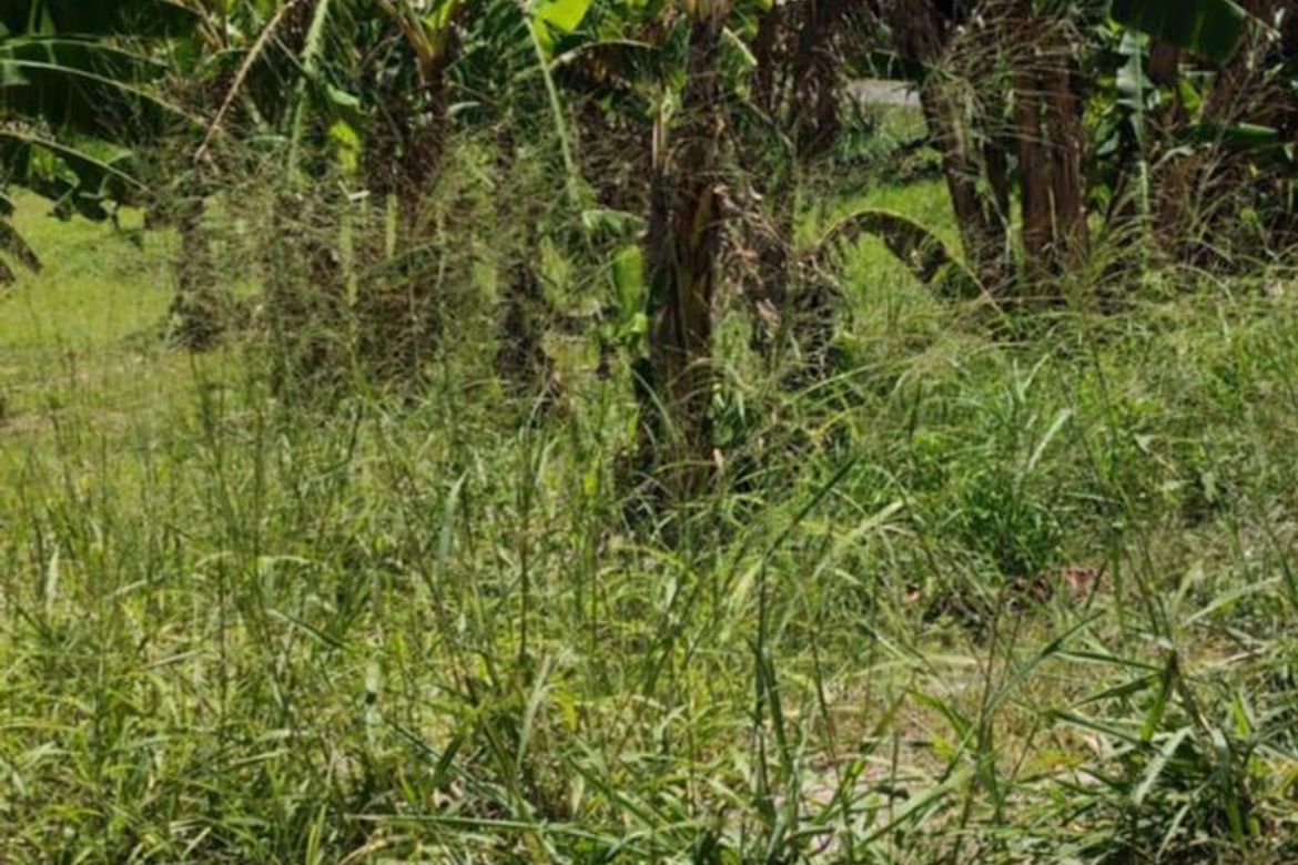 Land for Sale in Bucal, Silang, Cavite – photo 3