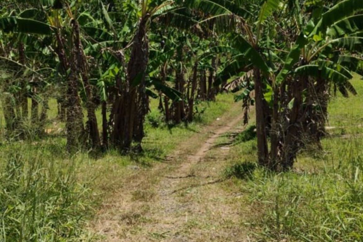Land for Sale in Bucal, Silang, Cavite – photo 4