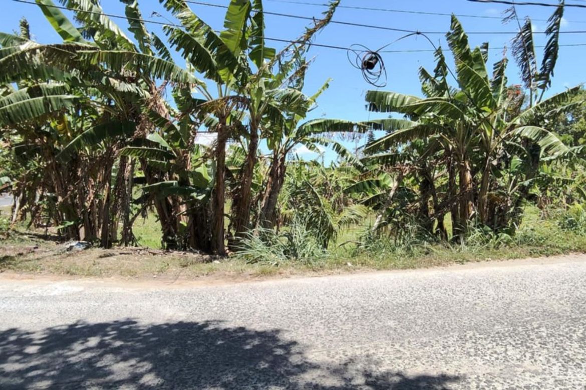 Land for Sale in Bucal, Silang, Cavite – photo 5
