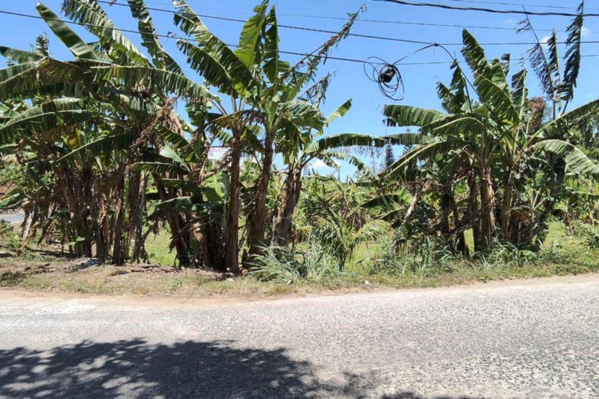Land for Sale in Bucal, Silang, Cavite – photo 8