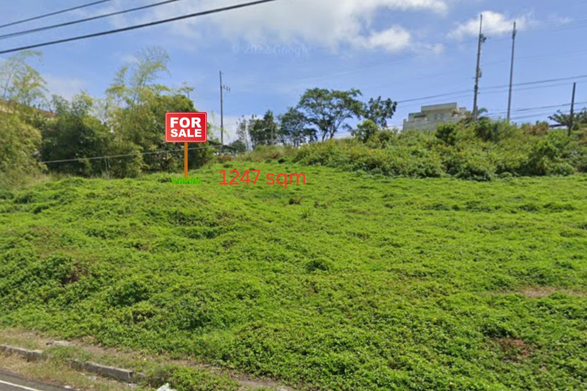 Land for Sale in Buck Estate, Alfonso, Cavite – photo 3