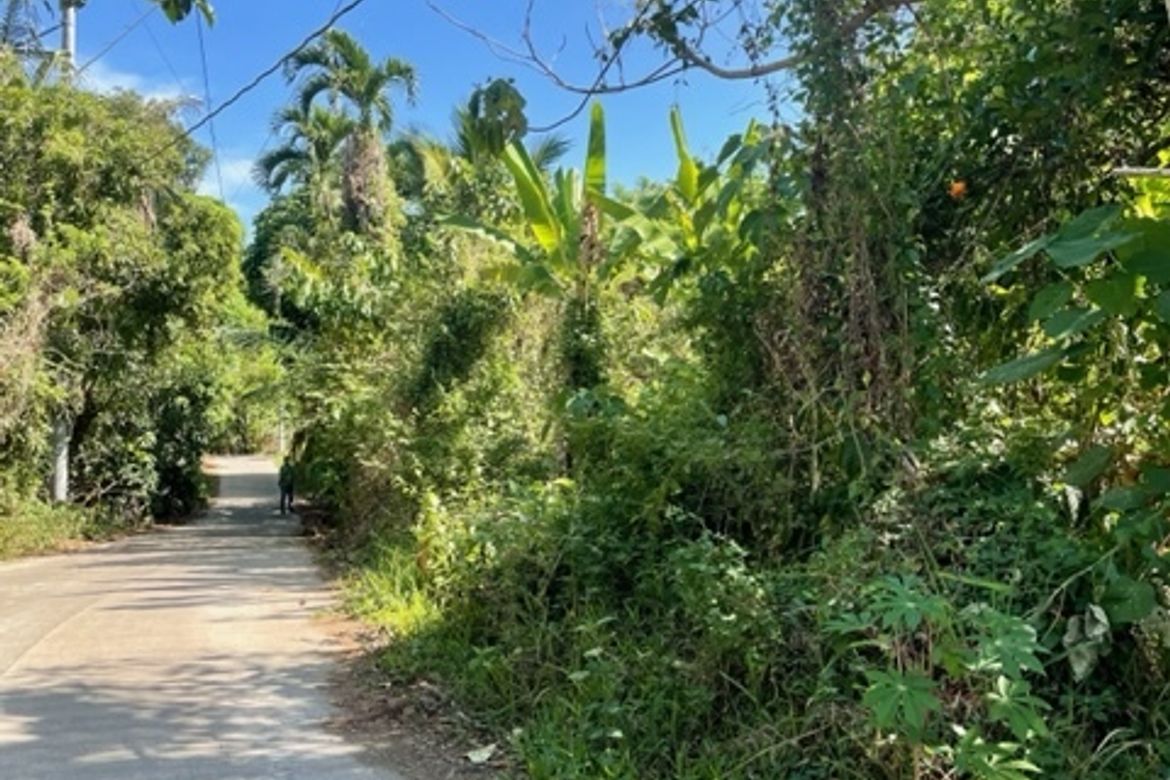 Land for Sale in Buck Estate, Alfonso, Cavite – photo 2