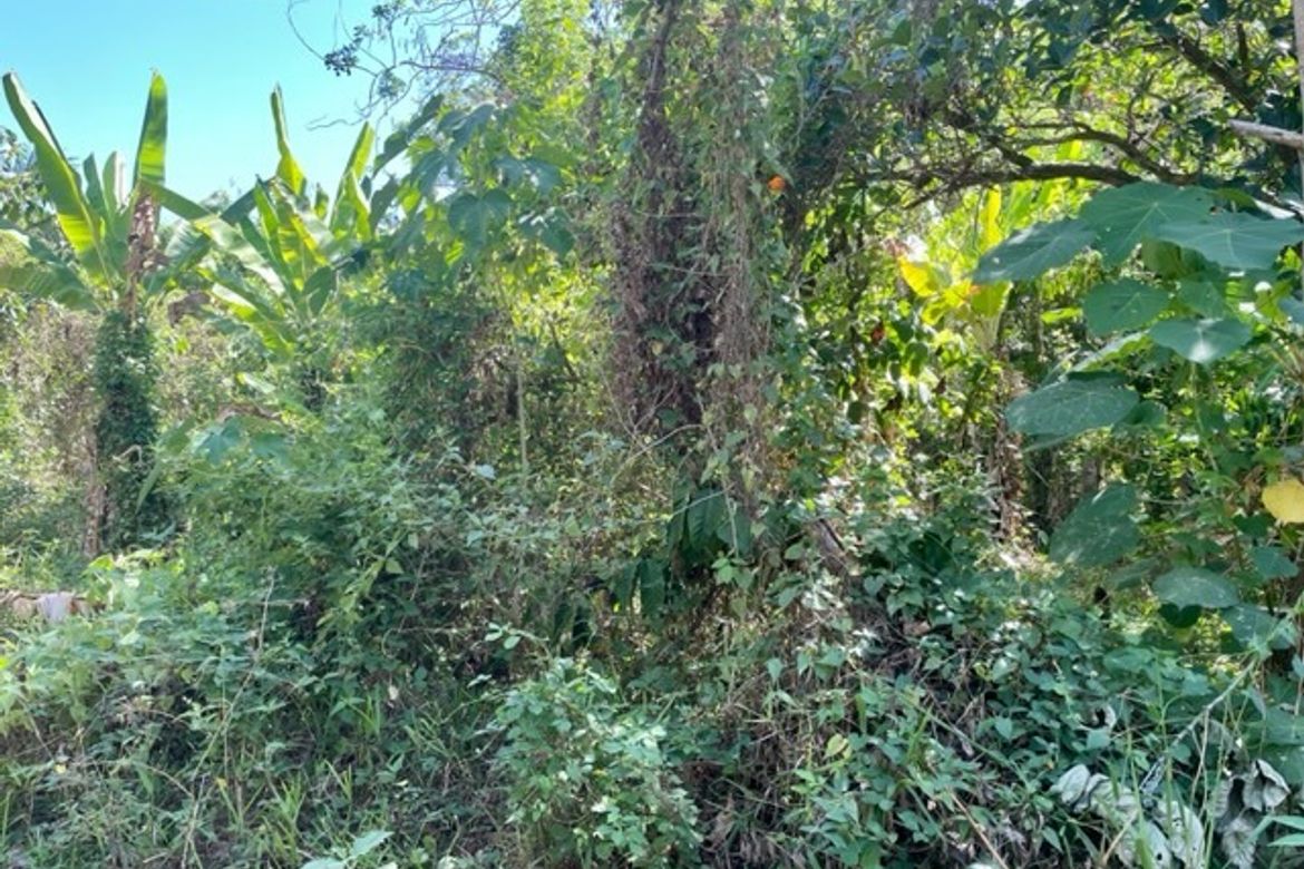 Land for Sale in Buck Estate, Alfonso, Cavite – photo 3