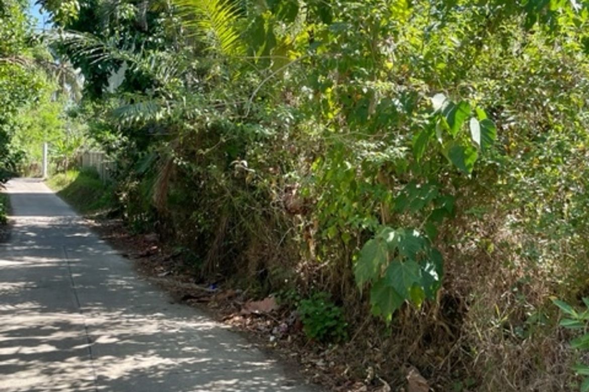 Land for Sale in Buck Estate, Alfonso, Cavite – photo 4