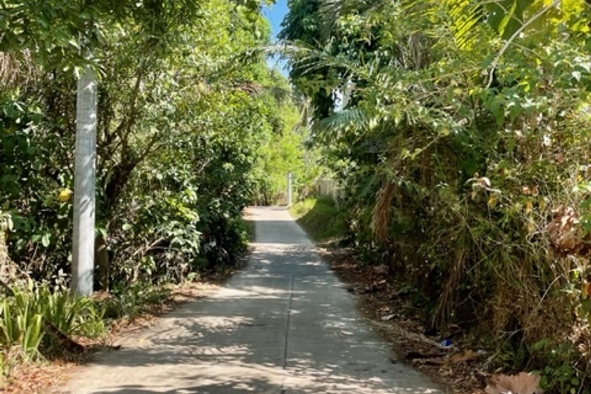 Land for Sale in Buck Estate, Alfonso, Cavite – photo 5
