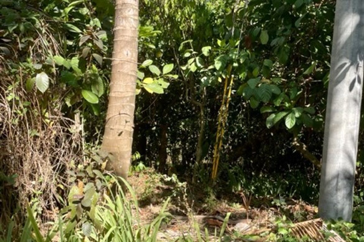 Land for Sale in Buck Estate, Alfonso, Cavite – photo 6