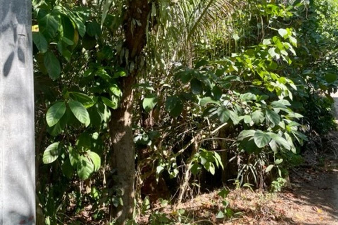 Land for Sale in Buck Estate, Alfonso, Cavite – photo 7