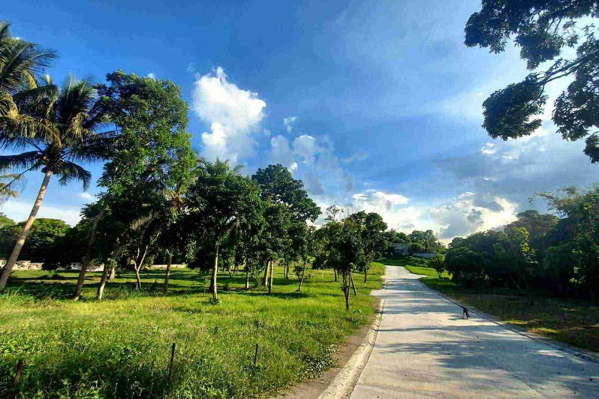 Land for Sale in Buck Estate, Alfonso, Cavite – photo 3