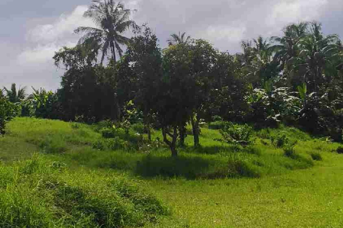 Land for Sale in Buck Estate, Alfonso, Cavite – photo 8