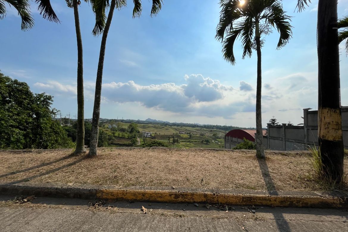 Land for Sale in Buck Estate, Alfonso, Cavite