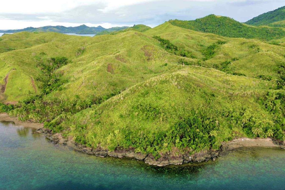 Land for Sale in Buenavista, Dapa, Surigao del Norte – photo 4