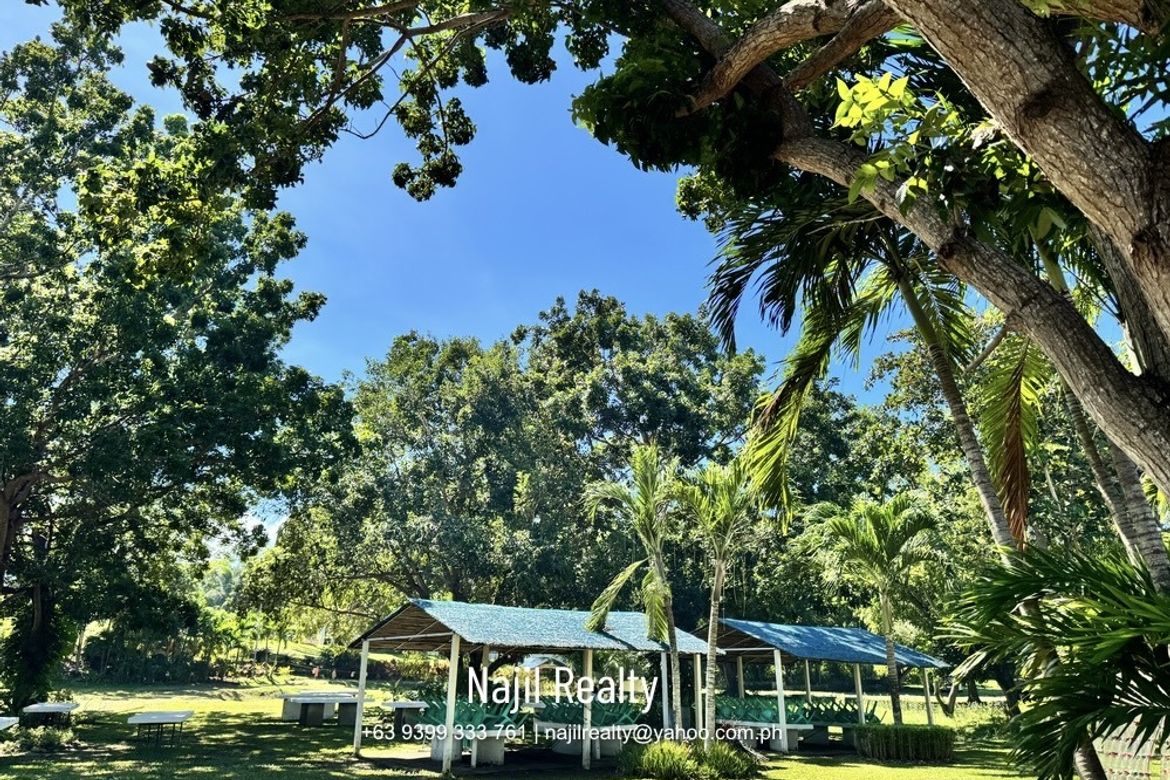 Land for Sale in Buenavista, Escalante, Negros Occidental – photo 4