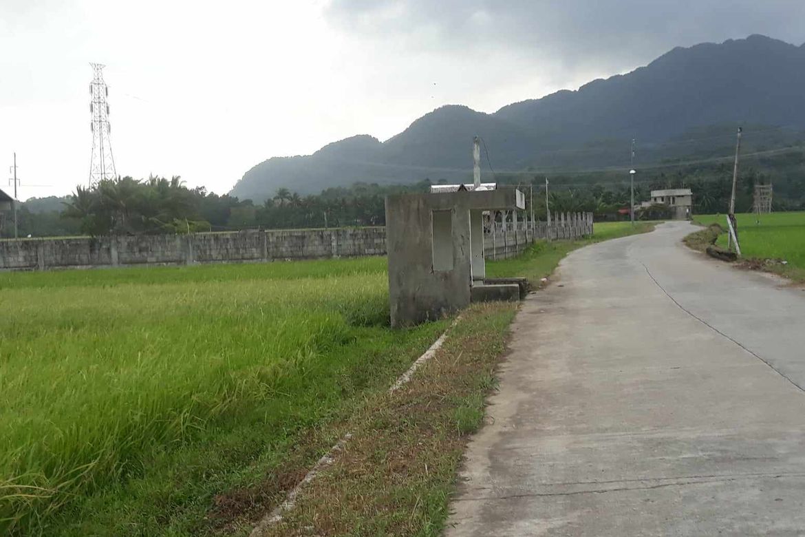 Land for Sale in Buenavista, Nabas, Aklan – photo 4