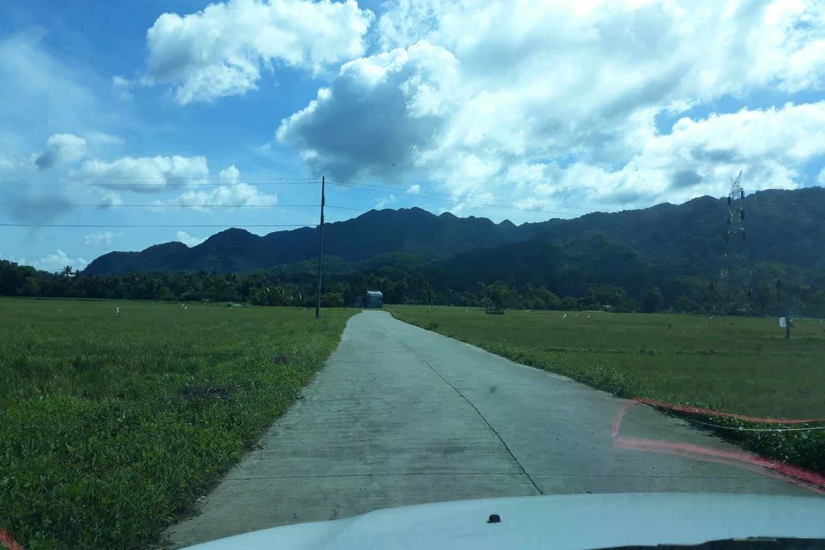 Land for Sale in Buenavista, Nabas, Aklan – photo 7