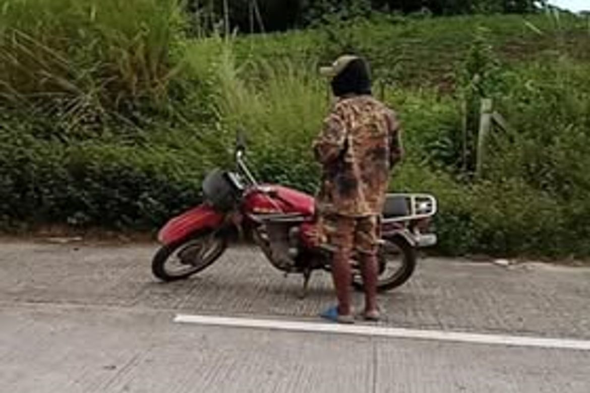 Land for Sale in Bueno, Capas, Tarlac