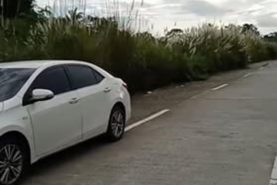 Land for Sale in Bueno, Capas, Tarlac – photo 3