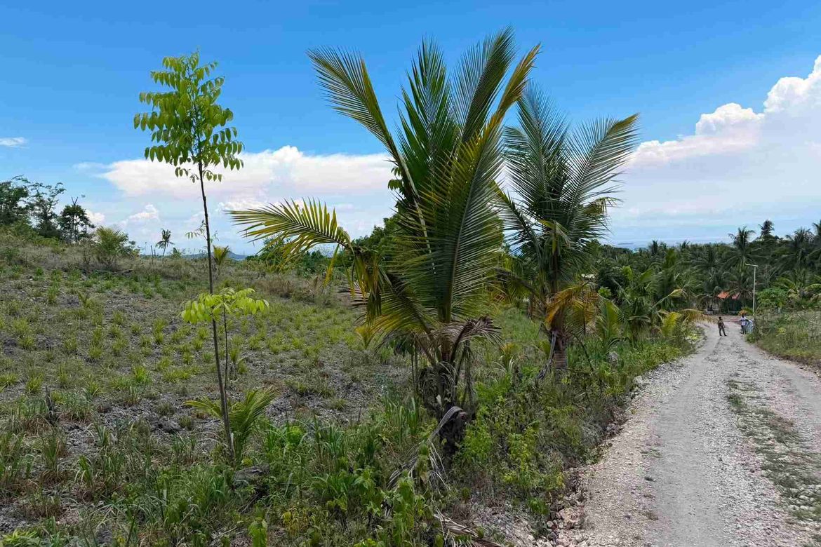 Land for Sale in Bugho, Moalboal, Cebu – photo 2